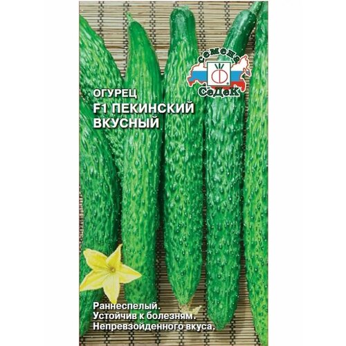 ������ ������ ������ 