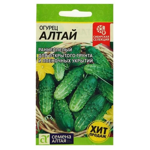 ������ ������ ������ ������ ����� ������ �����, �����������, ��������������, ��, 0,5  � ����