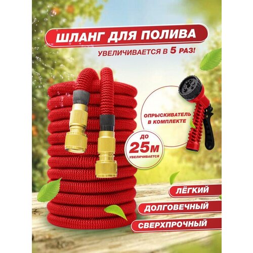 ������ ������ ����� ������� ��������������� 25 ������ ����