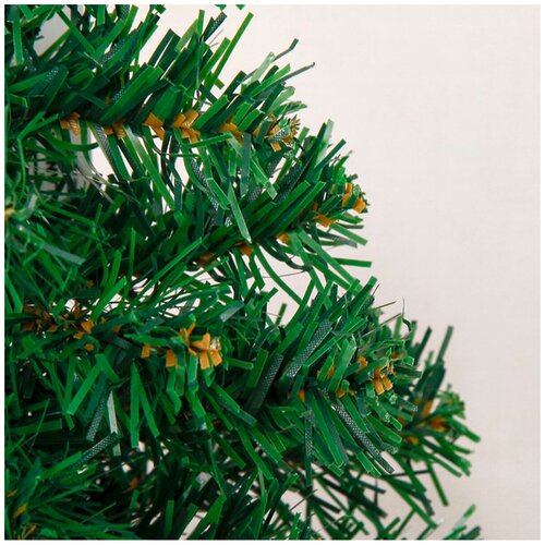 ������ ������ ��� ������������� ������ ���������� �������, 30 �� ����