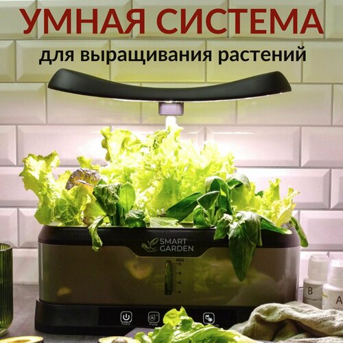 ������ ������ ���������� ����� ���, ������������� ��� �������� �� ����������� Aqua Maxi ����