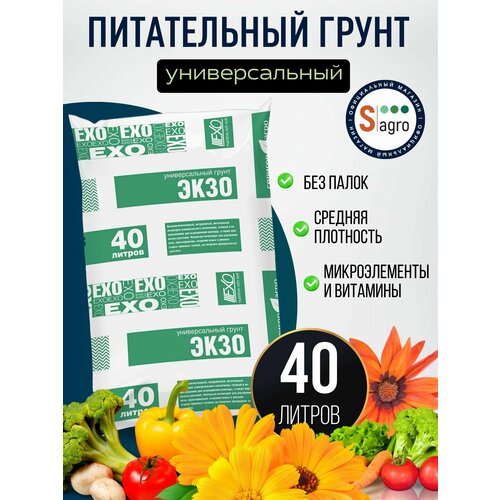 ������ ������ �����! ������������� ����� ����, ���������� 2040 �, ������ ������ 51 �����. ����� ��� �������� � ������� �����������. ����