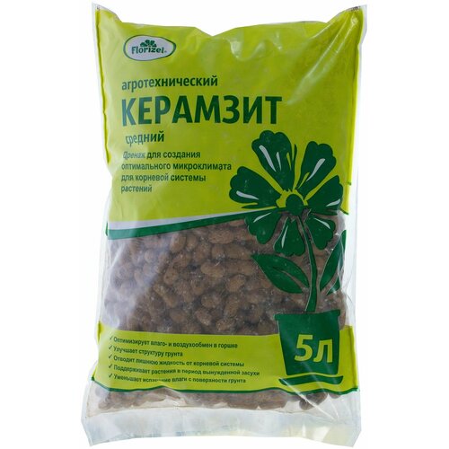 ������ ������ �������� Florizel 5 � ����