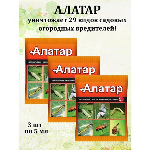 ������ ������ �������� �� ������� ���������� ������ 3 �� �� 5 �� ����