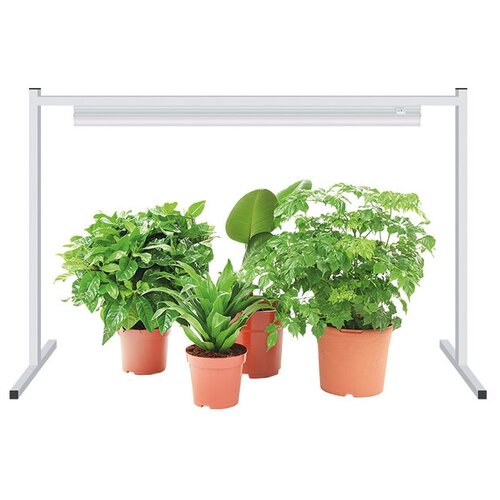 ������ ������ ��������� ������������� ��� ��������������� 570�� ����� Uniel ����