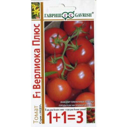 ������ ������ ������ ����� �������� ���� F1 24�� ��� ������ (������) 1+1 ����