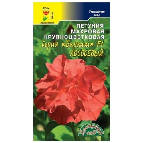 ������ ������ ������ �������� ��� 