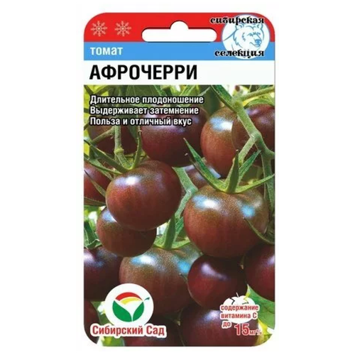 ������ ������ ����� ����-����� (20��) ��������� ��� ����