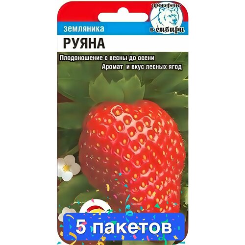 ������ ������ ������ ������ ��������� ��� 