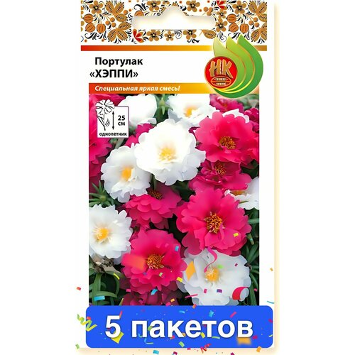 ������ ������ ����� �������� �����, ����������� ����� 5 ������� ����