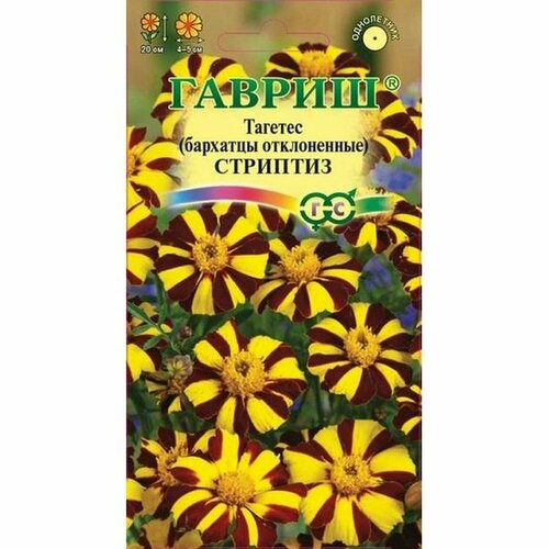 ������ ������ ������ �������� �������� ����������, (������) 0,3� ����