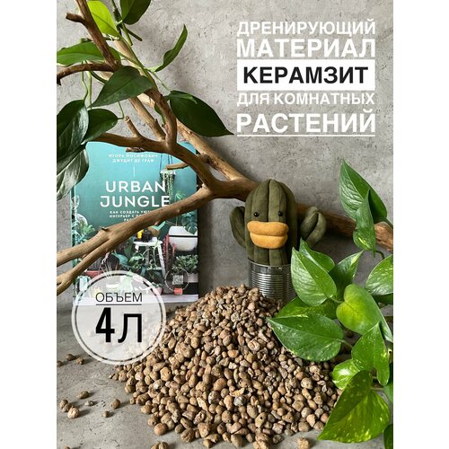 ������ ������ �������� ��� �������� 4 �����, ������ ��� ������ Terracotta Plant, ��� ��������� ��������, ������� 4-10�� ����