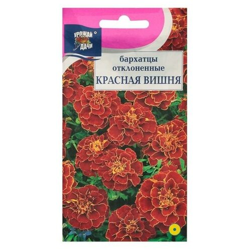 ������ ������ ������ ������ �� �������� ����. '������� �����',0,3 �� ����