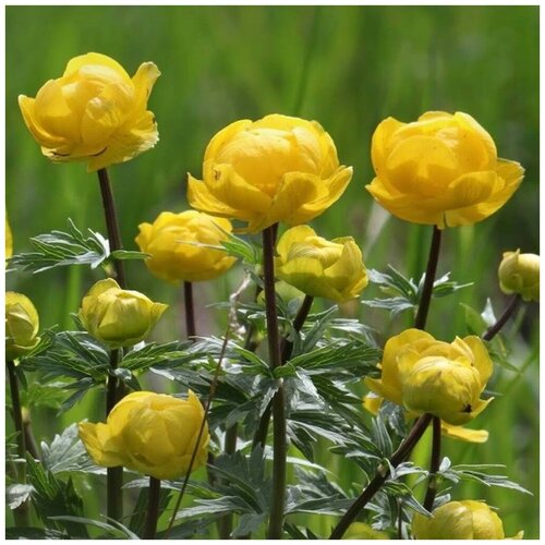 ������ ������ ������ ������ ���������� ����������� 30 ��. ����