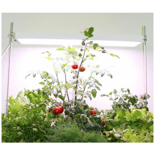 ������ ������ �������������� ��������� ������� �-30 (������������, ����� ����) ����