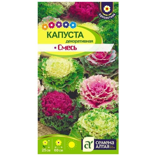 ������ ������ ������ 