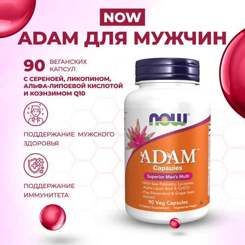  ADAM    NOW Foods, 90     -     , -,   