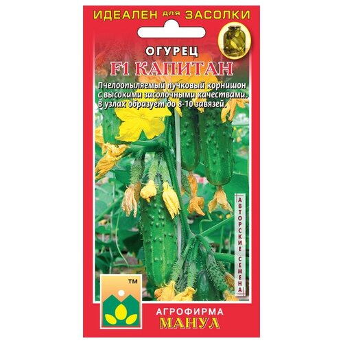 ������ ������ ������ F1 ������� 10 �� ����� ����