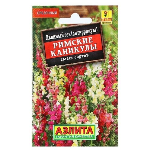 ������ ������ ������ ������ ������� ��� ������� ��������, ����� ������, 0,1 � ����