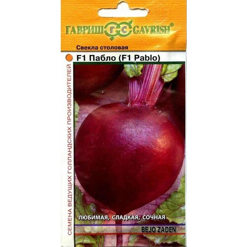 ������ ������ ������. ������ 