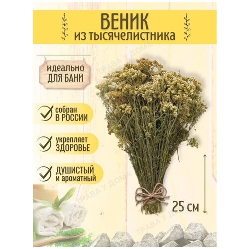 ������ ������ ������ ��� ���� �� �������������� 1 �� ����