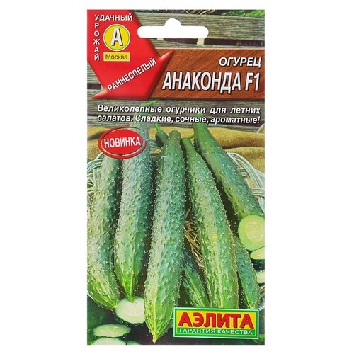 ������ ������ ������ ��������� ������ ������ ��������� �������� F1 10 ��. ����