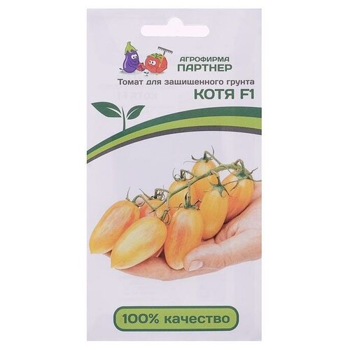 ������ ������ ������ ����� 