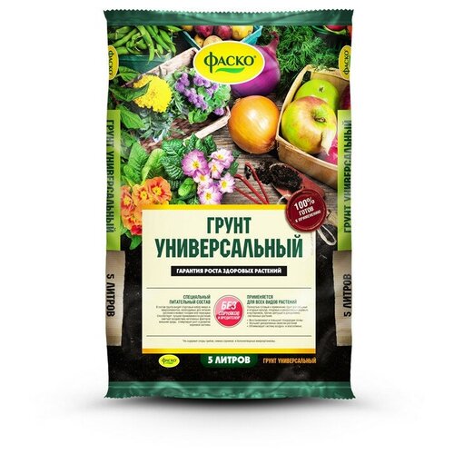 ������ ������ ����� ������������� ����� 5� ����