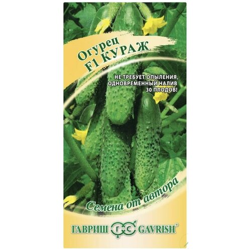 ������ ������ ������ ����� F1(10���) ����������� ������, ���������� ��������� ����� �������� ����