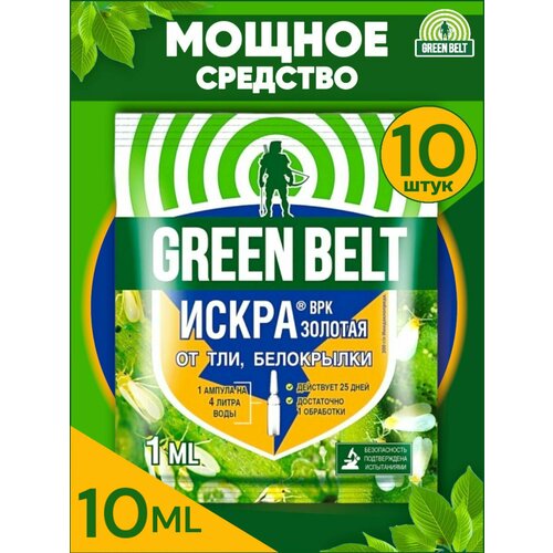     ,  Green Belt ( ) 10   1    -     , -,   