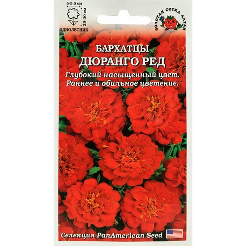 ������ ������ ������ �������� ������� ��� ����������� 10��. (������� ����� �����) ����