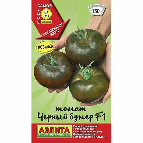 ������ ������ ������ ����� ������ ����� F1, ������������, �����������, (������) 15�� ����