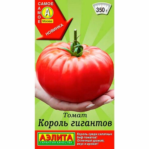 ������ ������ ������ ����� ������ �������� 20�� ����� ������ (������) ����