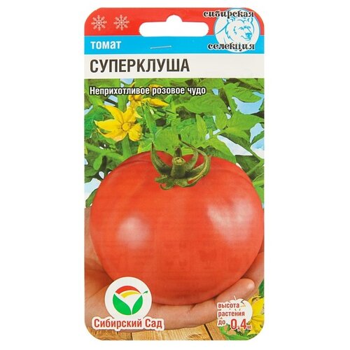 ������ ������ ������ ��������� ��� ���������� ����� ������������ 20 ��. ����