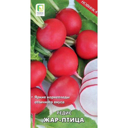 ������ ������ ����� 