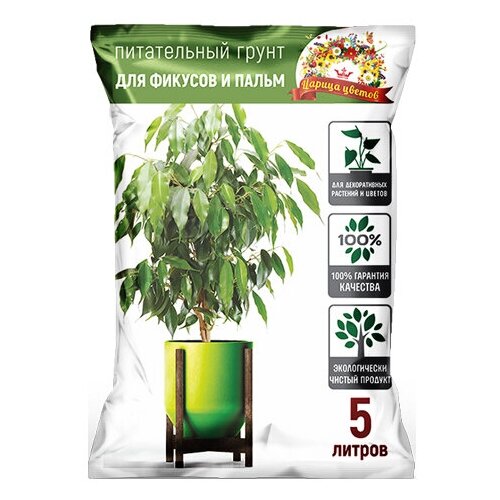 ������ ������ ����� ������ ������ ��� ������� � ����� 5 ������ ����