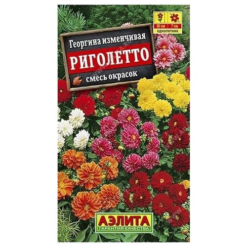 ������ ������ ������. �������� 