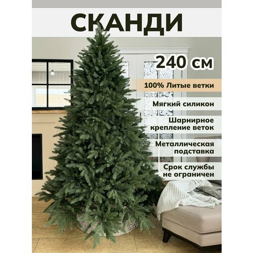 ������ ������ ���� ������������� ���������� ����� ��������� ��� ��������� ����