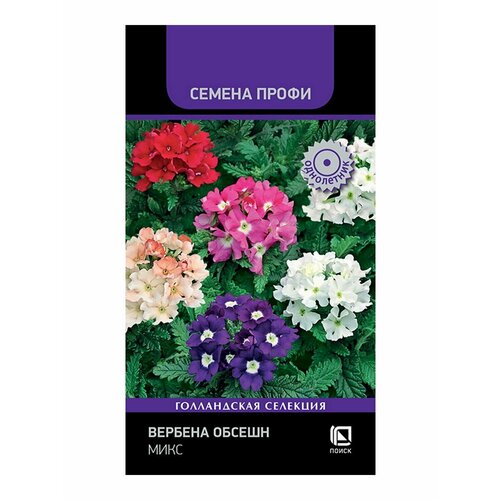 ������ ������ ������ ������� ������ ���� ���������� 10 ��. ����