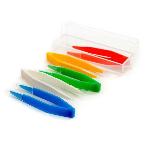 ������ ������ ������ ��� ���������� ���� 6 �� ����