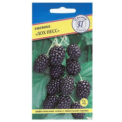 ������ ������ ������ ������� ������������ 