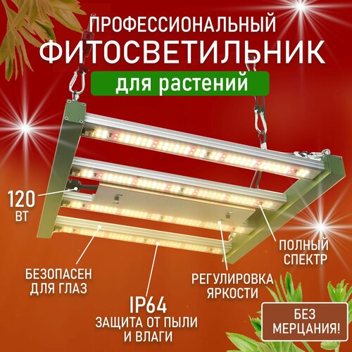 ������ ������ ��������� ��� �������� ������ ������ �������������� ������������ ����