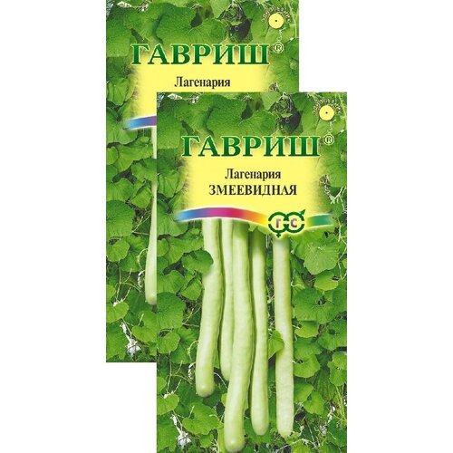 ������ ������ ��������� ���������� (5 �����), 2 ������ ����