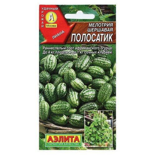 ������ ������ ������ �������� (������� ����) 