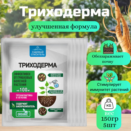 ������ ������ ���������� 30�� / 5��. ������� ���������. ����