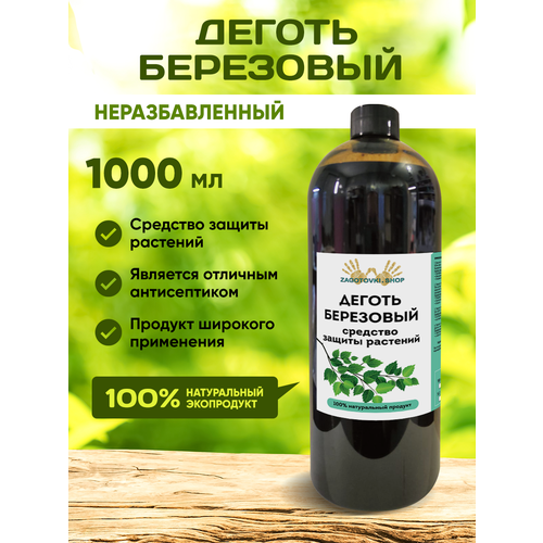 ������ ������ ������ ���������. ������ �� ��������� 1000 �� ����