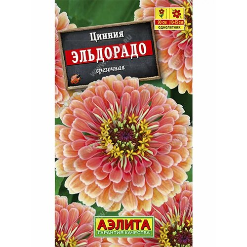 ������ ������ ������ 