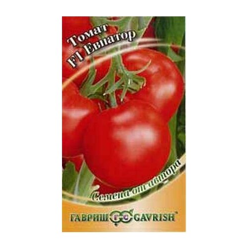 ������ ������ ������. ����� ������������ 