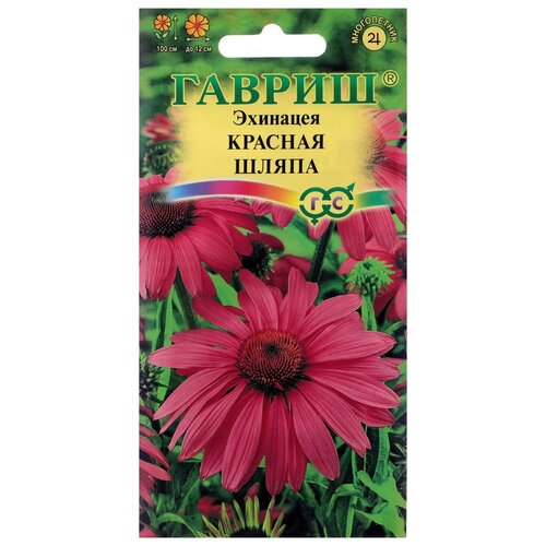 ������ ������ ������ ������ �������� 