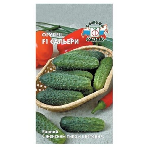 ������ ������ ������ ������, ������� F1, 8 ��, ������� ��������, ����� ����